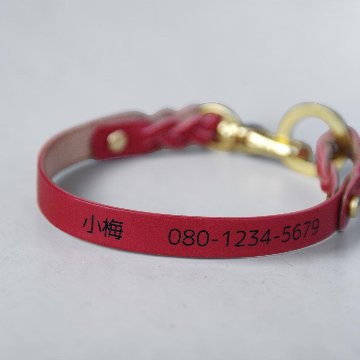 【全犬種】Shell：キラキラセット の画像
