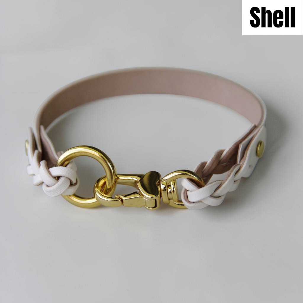 【全犬種】Shell：シンプルセット の画像