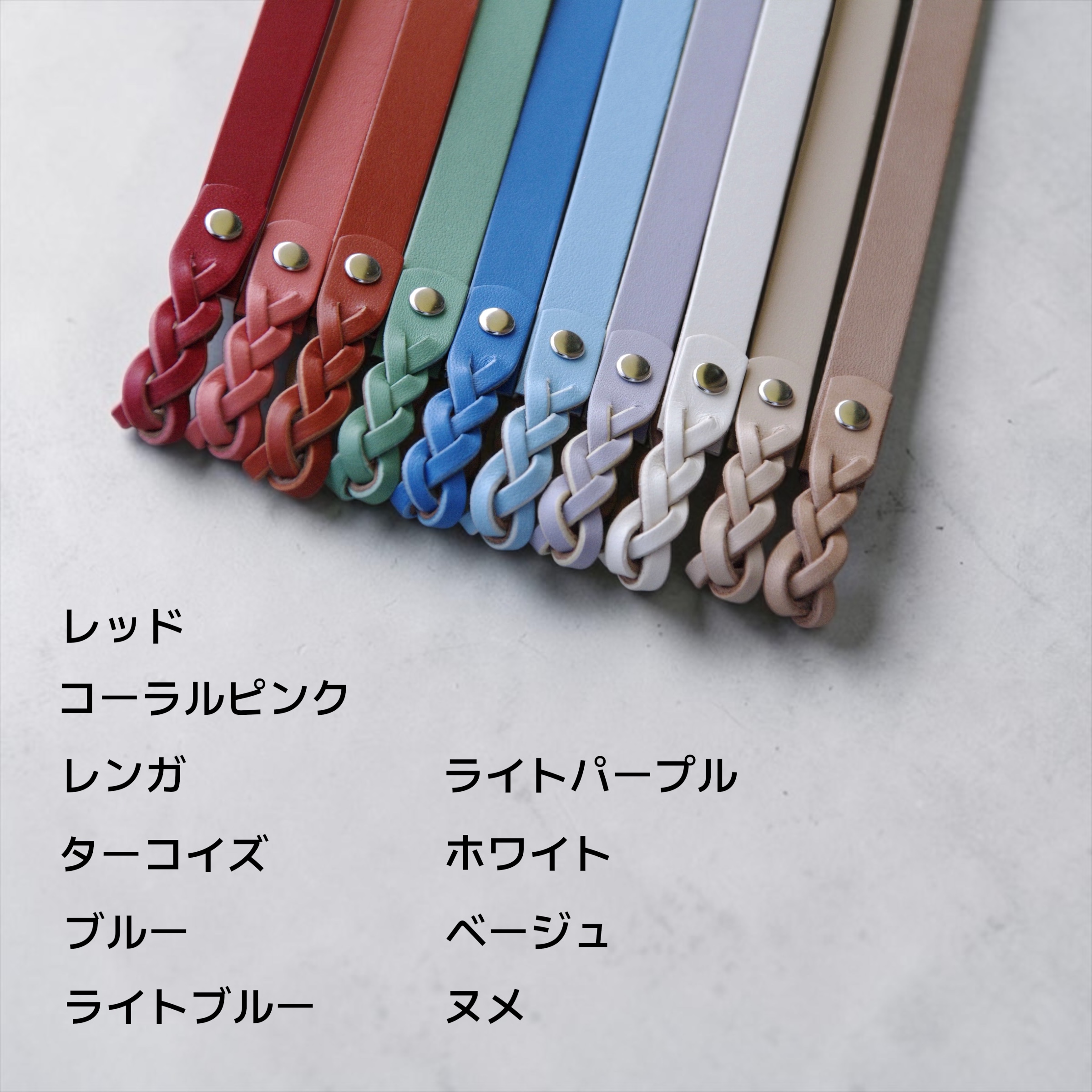 【全犬種】Shell：シンプルセット の画像