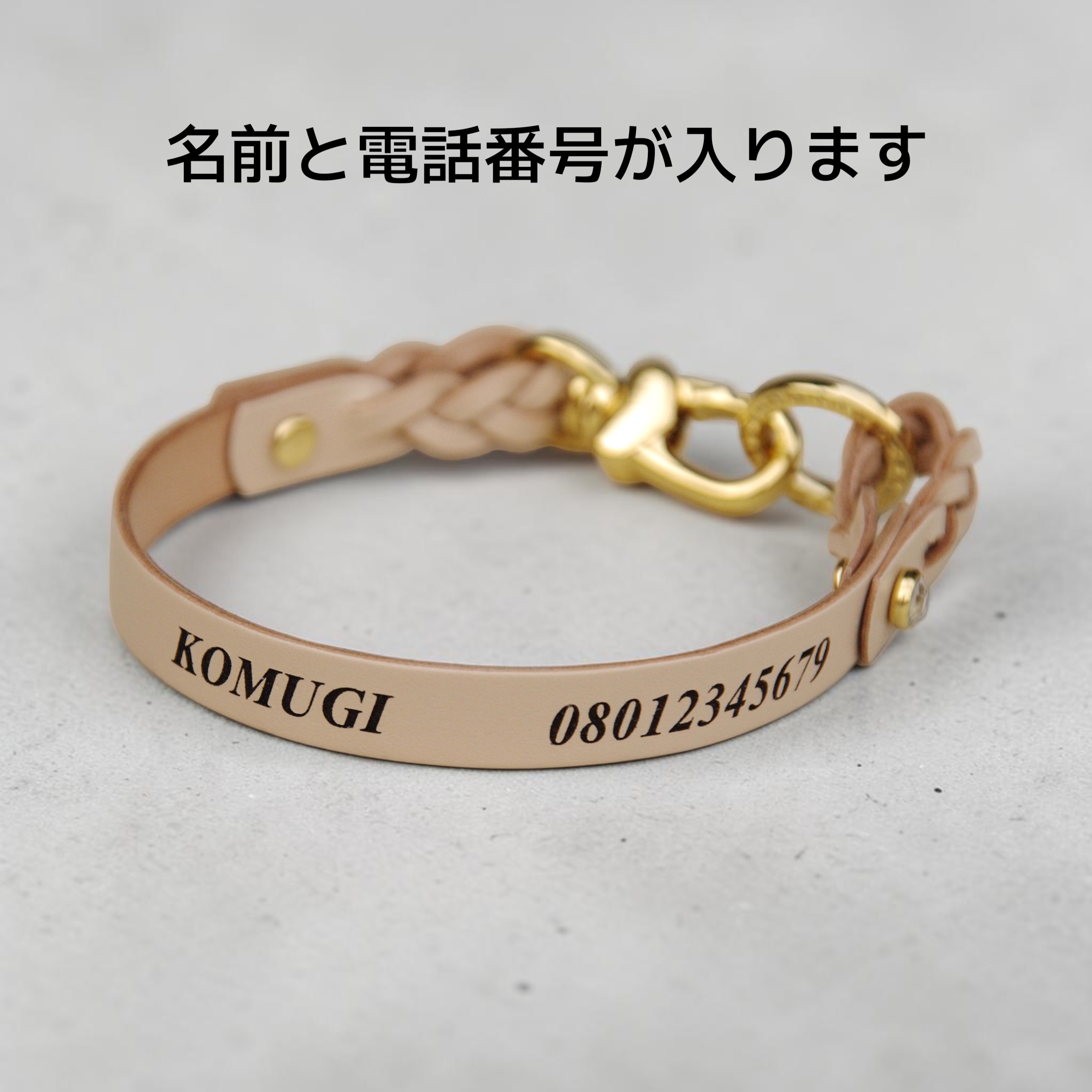 【全犬種】Shell：シンプルセット の画像