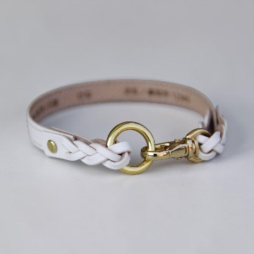 【全犬種】Shell：シンプルセット の画像