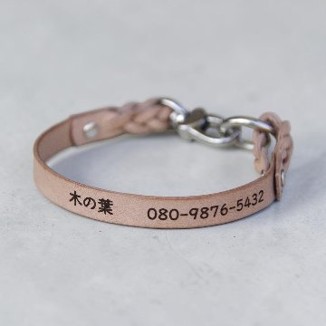 【全犬種】Shell：シンプルセット の画像