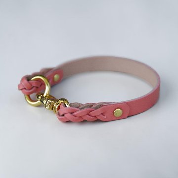 【全犬種】Shell：シンプルセット の画像