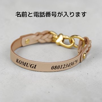 【全犬種】Shell：シンプルセット の画像