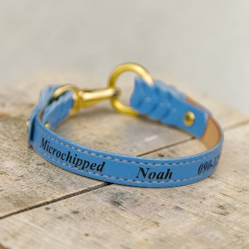 【全犬種】Tile：シンプルセット の画像