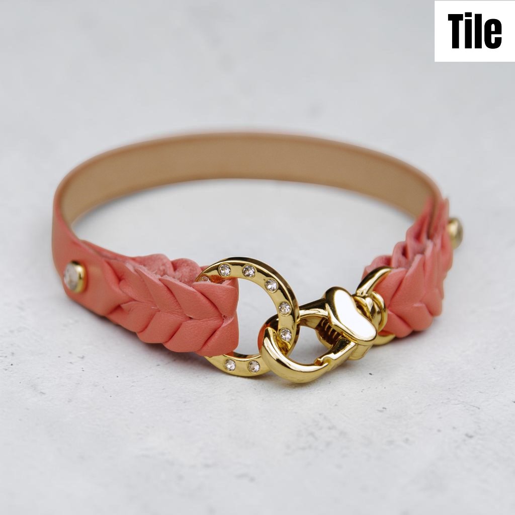 【全犬種】Tile：キラキラセット の画像