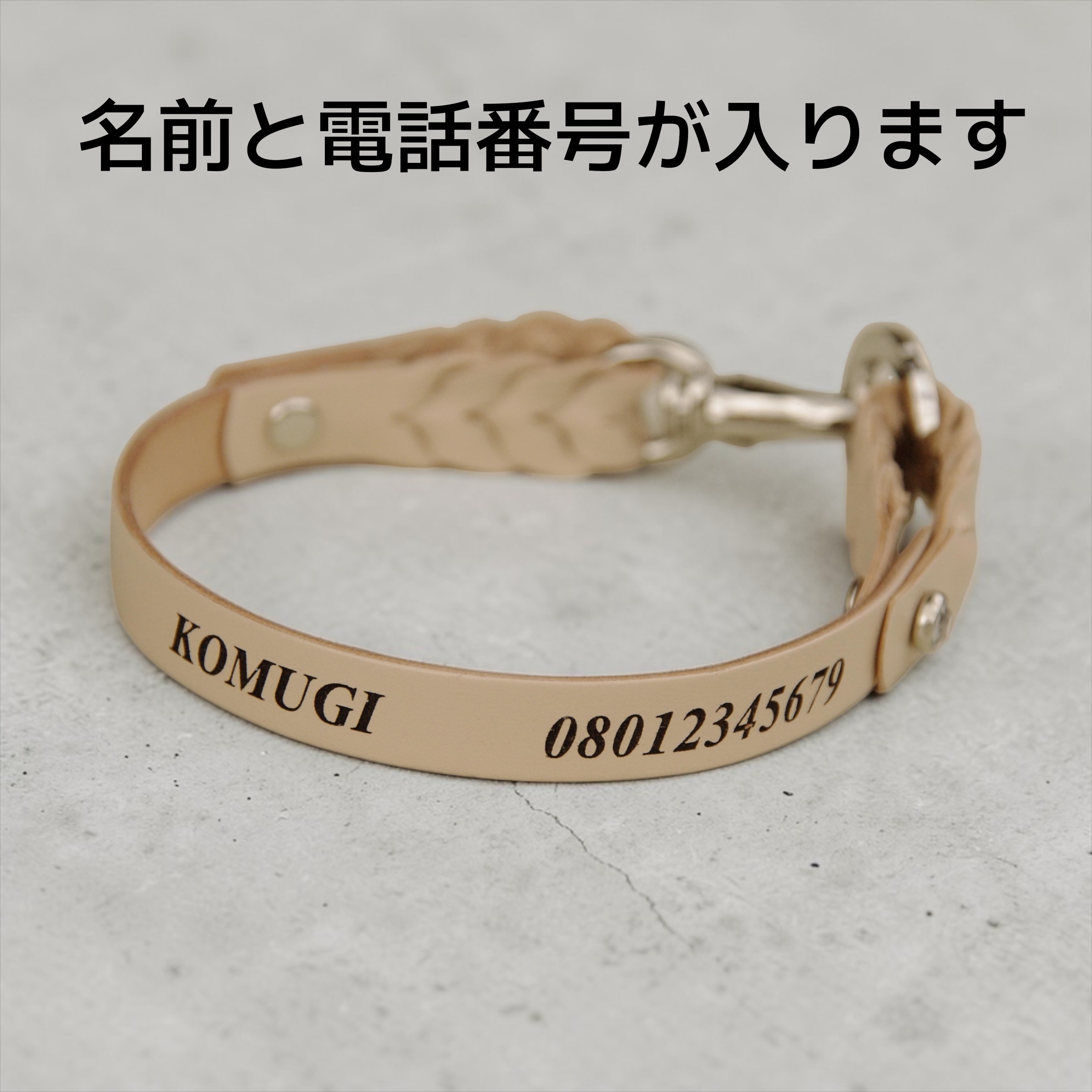 【全犬種】Tile：キラキラセット の画像