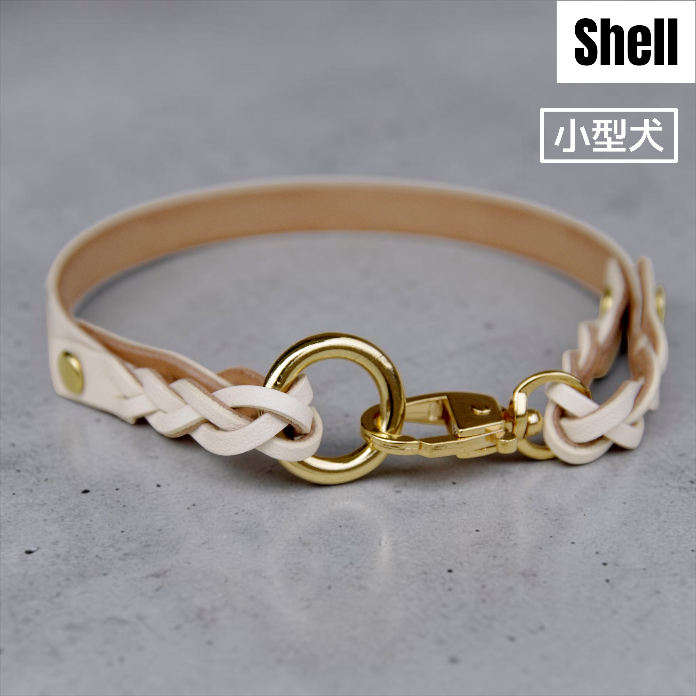 【小型犬】Shell：シンプルセット の画像