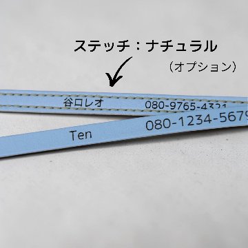 【小型犬】Shell：シンプルセット の画像