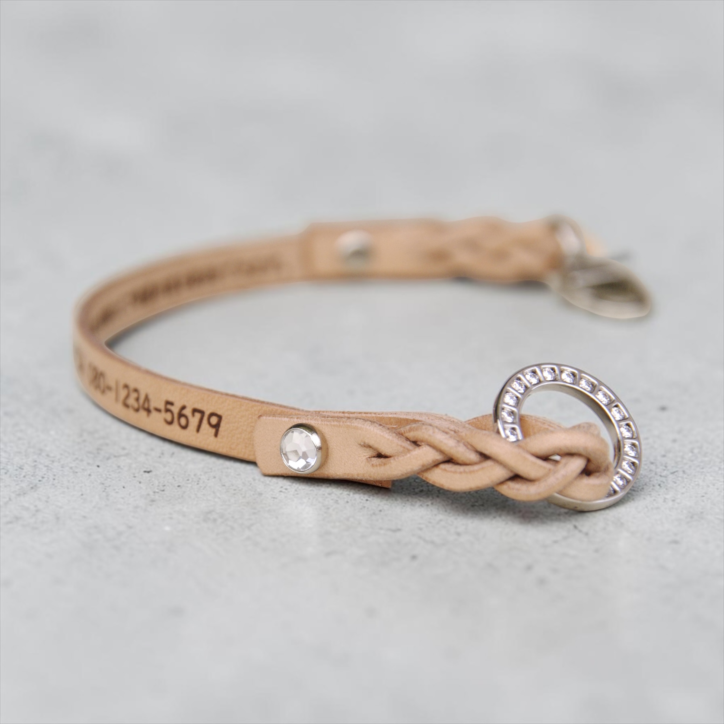 【小型犬】Shell：ジルコンセット の画像