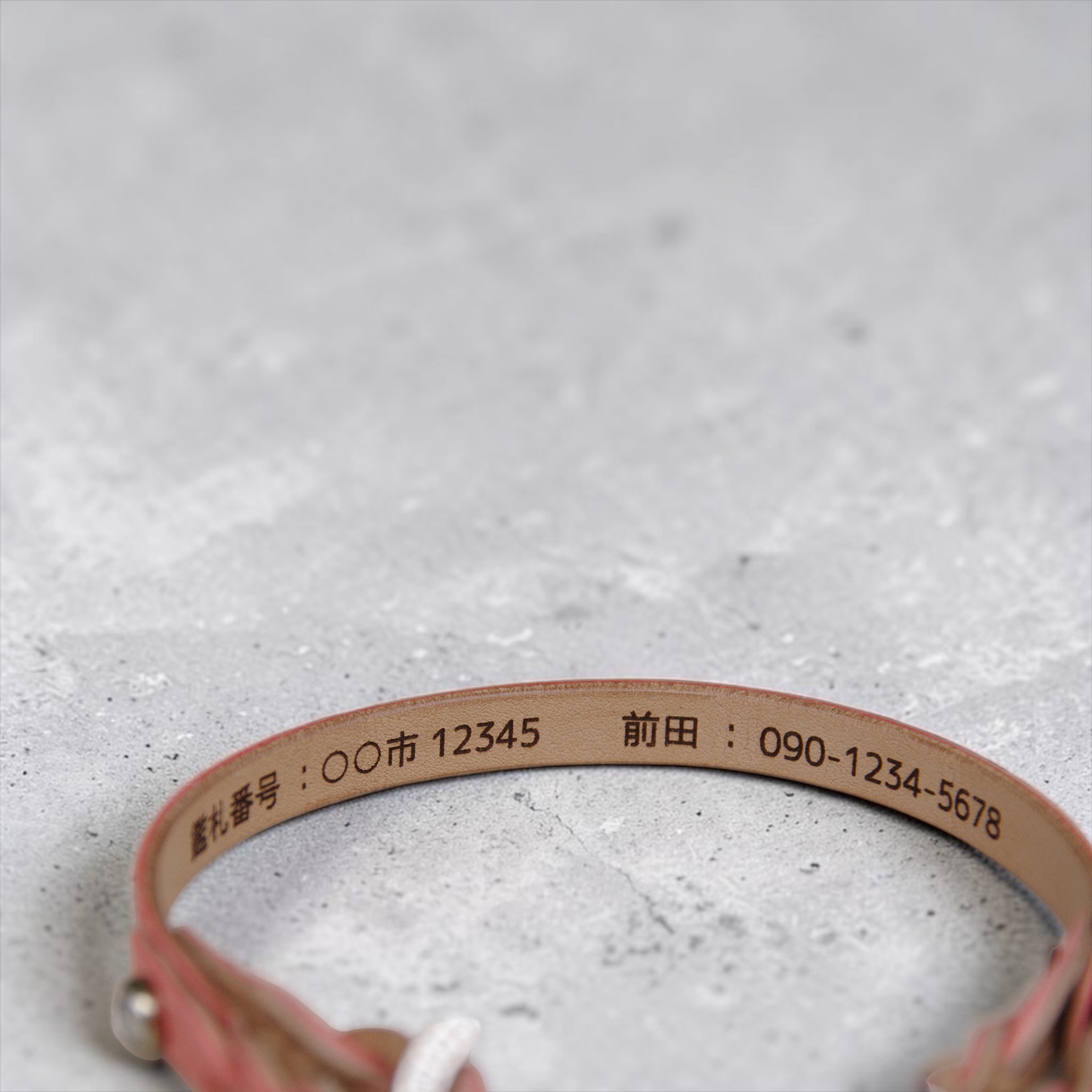 【小型犬】Shell：ジルコンセット の画像