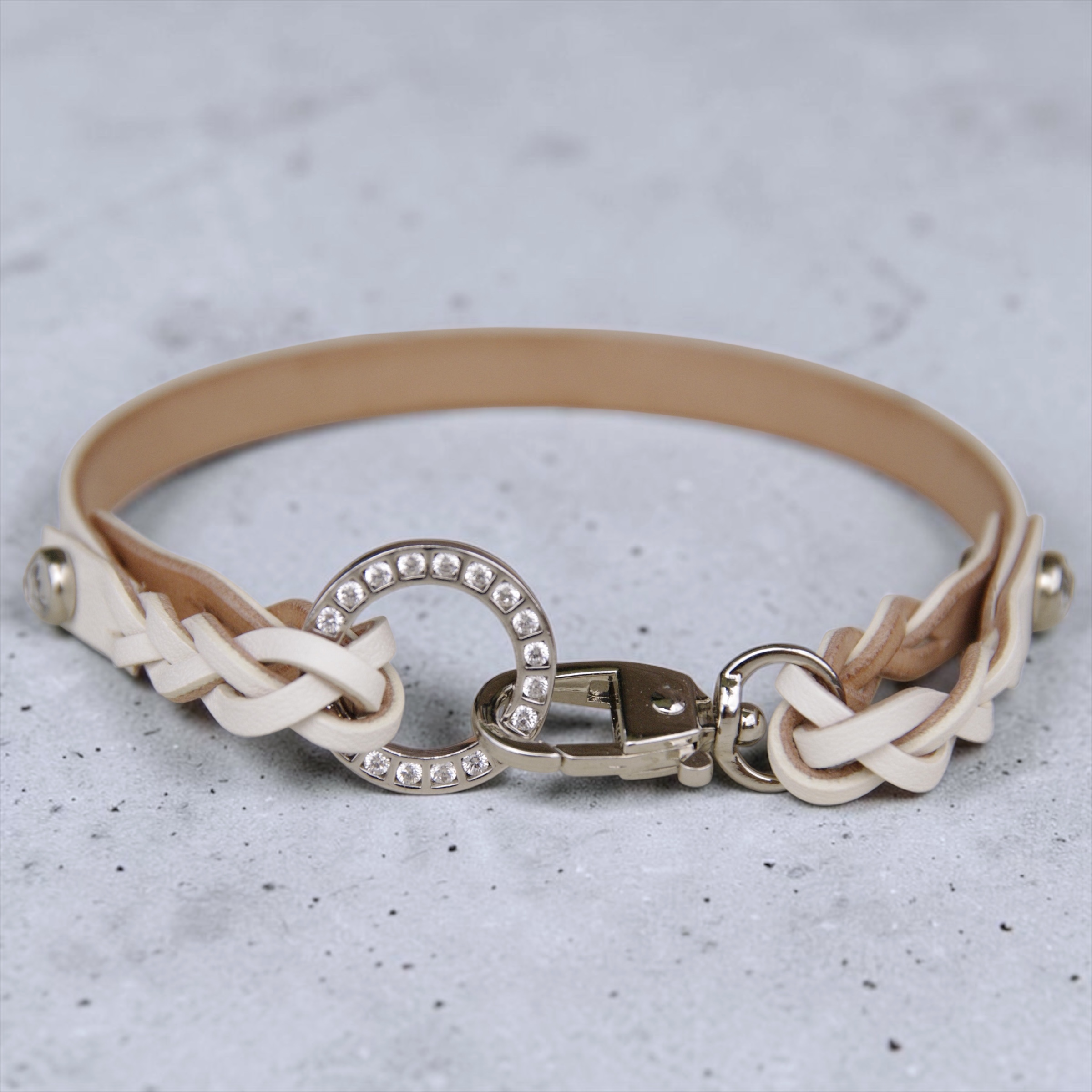 【小型犬】Shell：ジルコンセット の画像