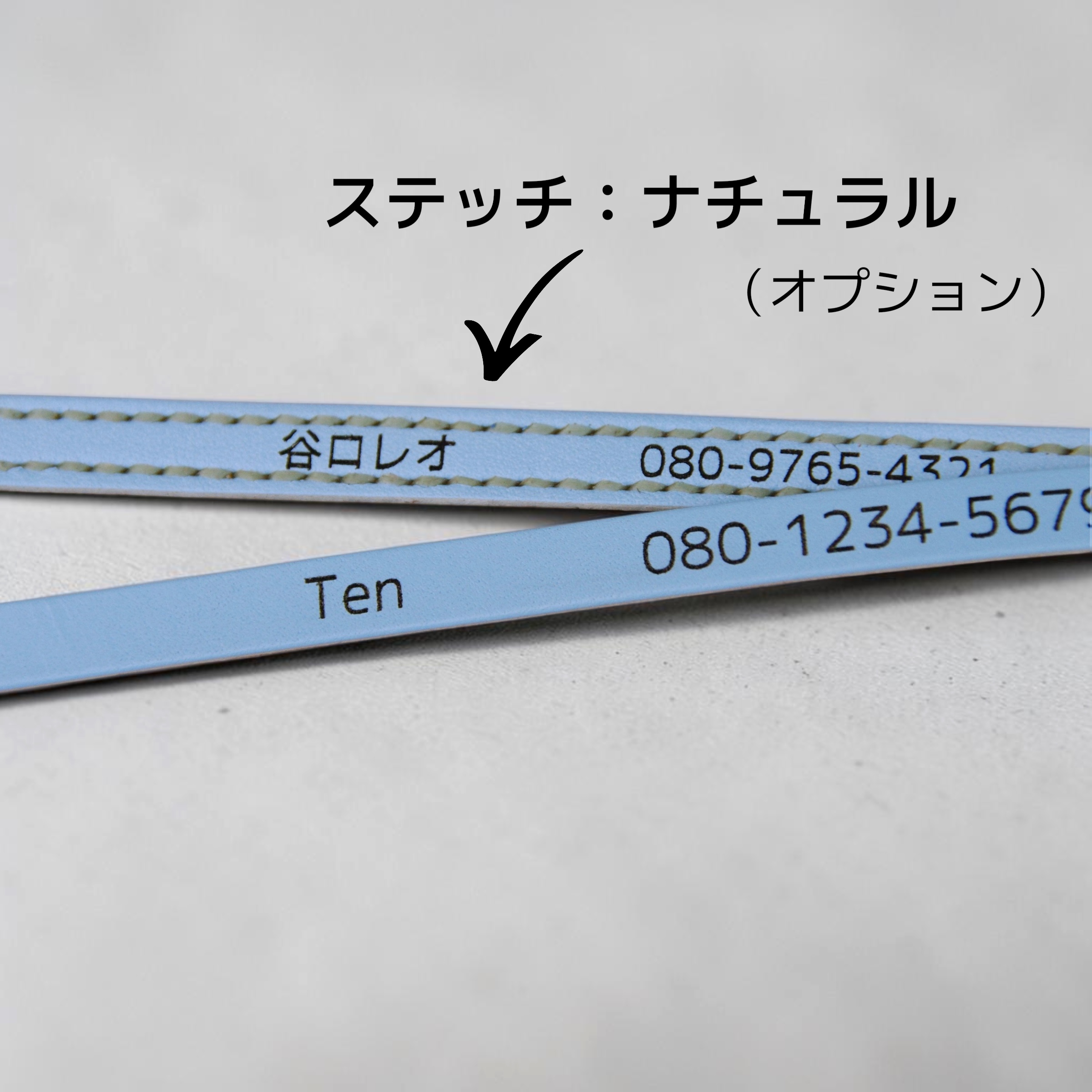 【小型犬】Shell：ジルコンセット の画像
