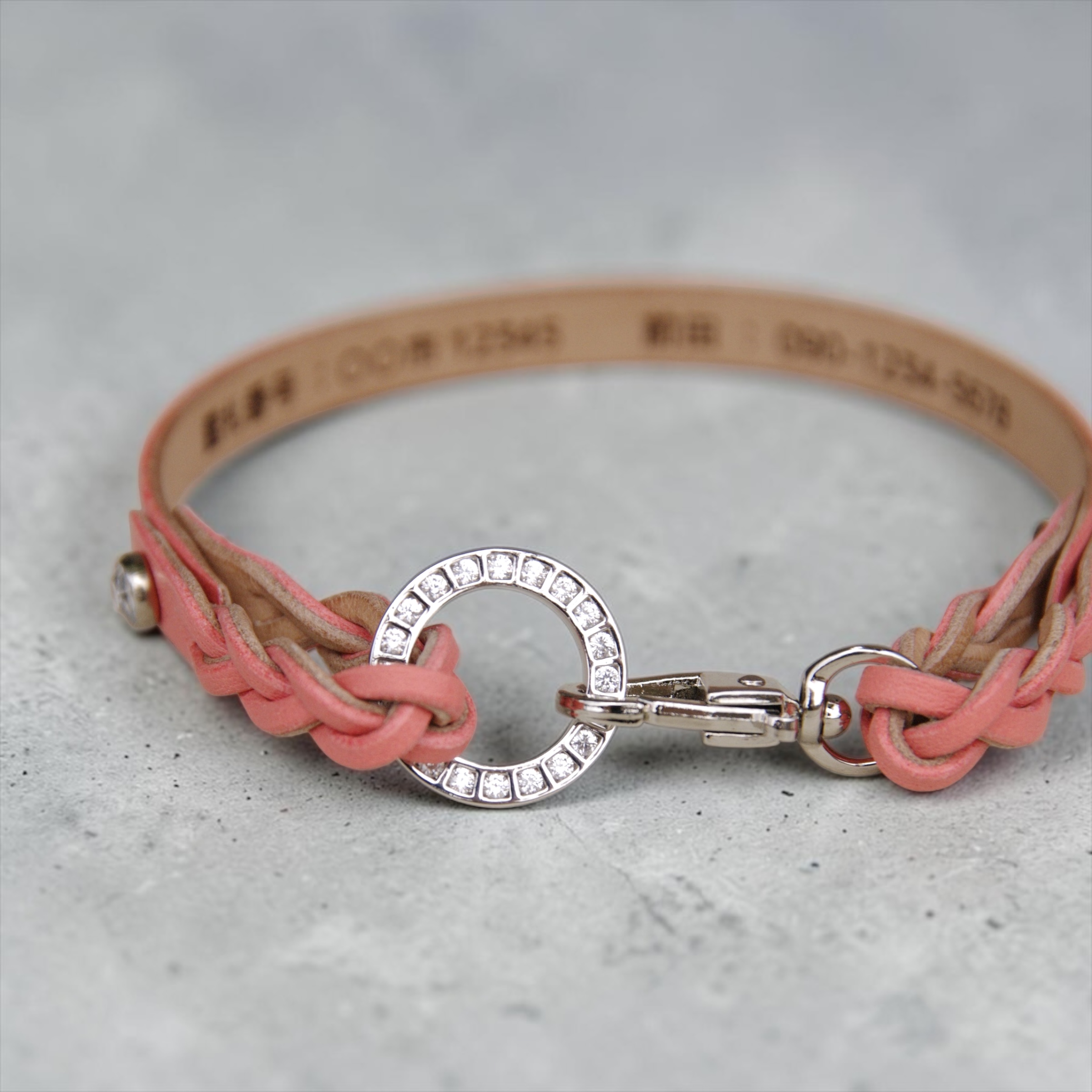 【小型犬】Shell：ジルコンセット の画像