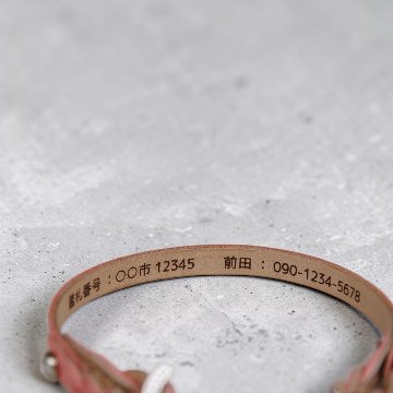 【小型犬】Shell：ジルコンセット の画像