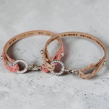 【小型犬】Shell：ジルコンセット の画像