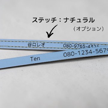 【小型犬】Shell：ジルコンセット の画像