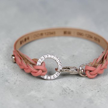 【小型犬】Shell：ジルコンセット の画像