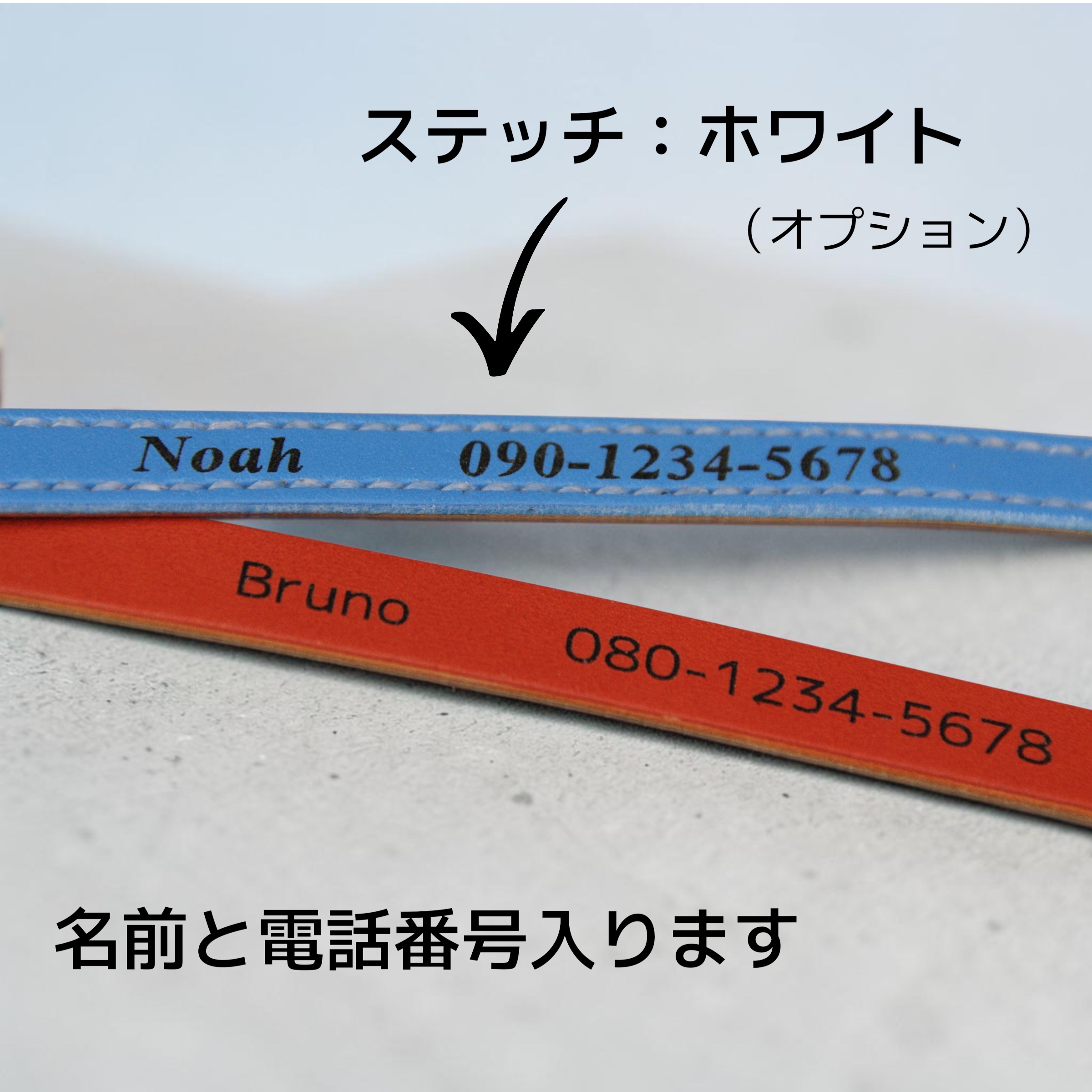 【全犬種】Tile + W：ジルコンセット の画像