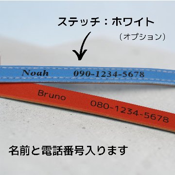 【全犬種】Tile + W：ジルコンセット の画像