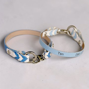 【小型犬】Tile+W：シンプルセット の画像