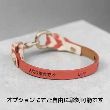 【小型犬】Tile+W：シンプルセット の画像