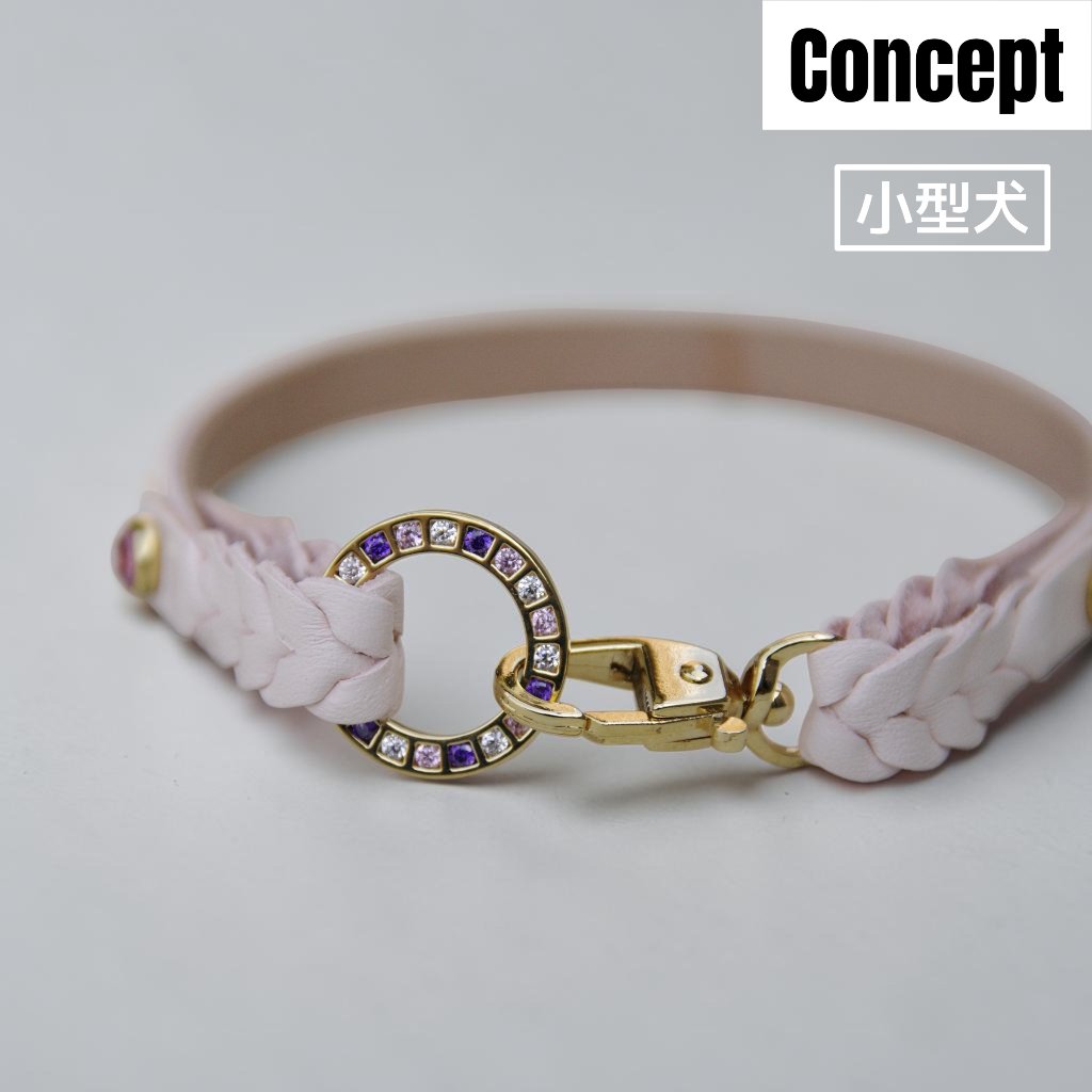 【小型犬】Lilas（リラ）の画像