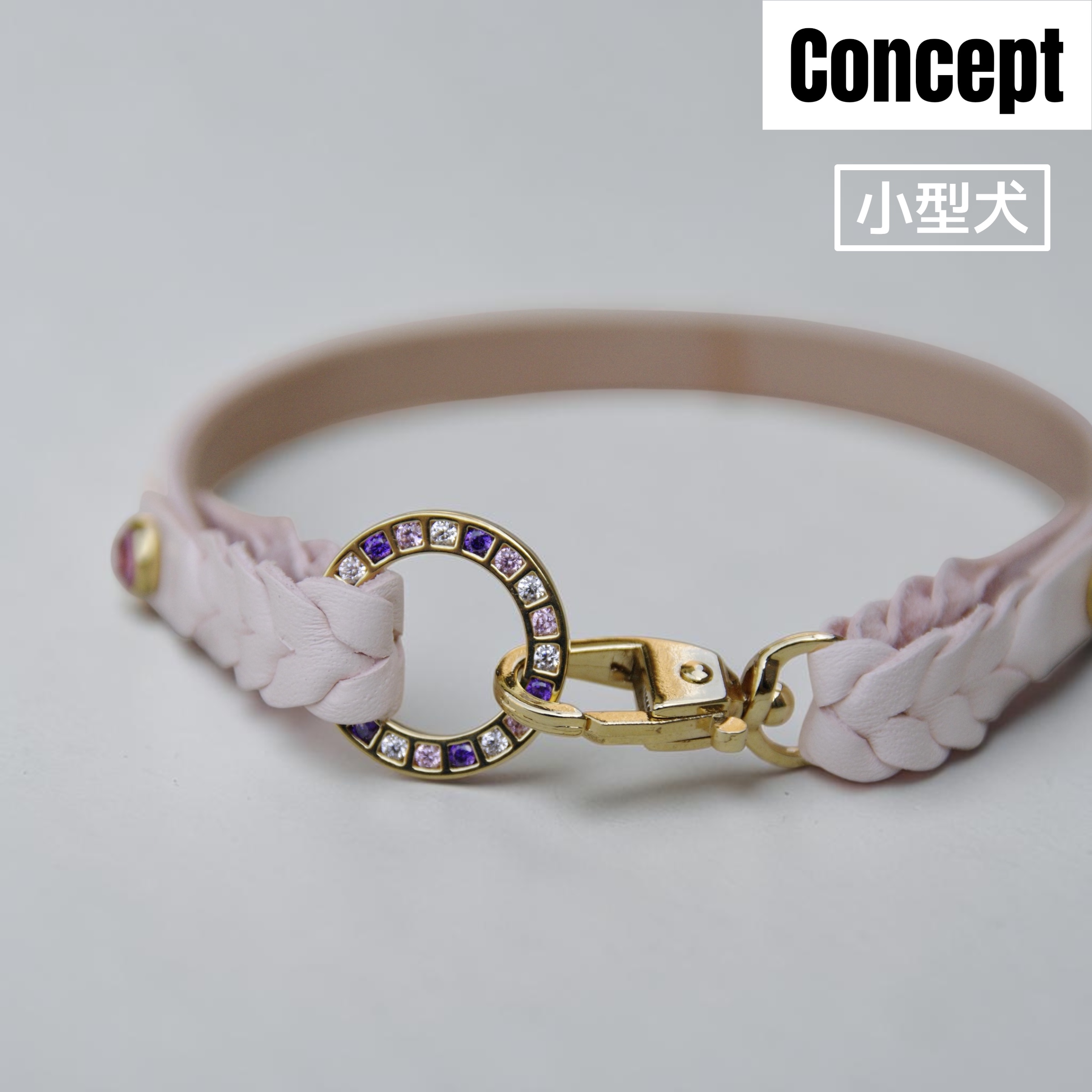 【小型犬】Lilas（リラ）の画像