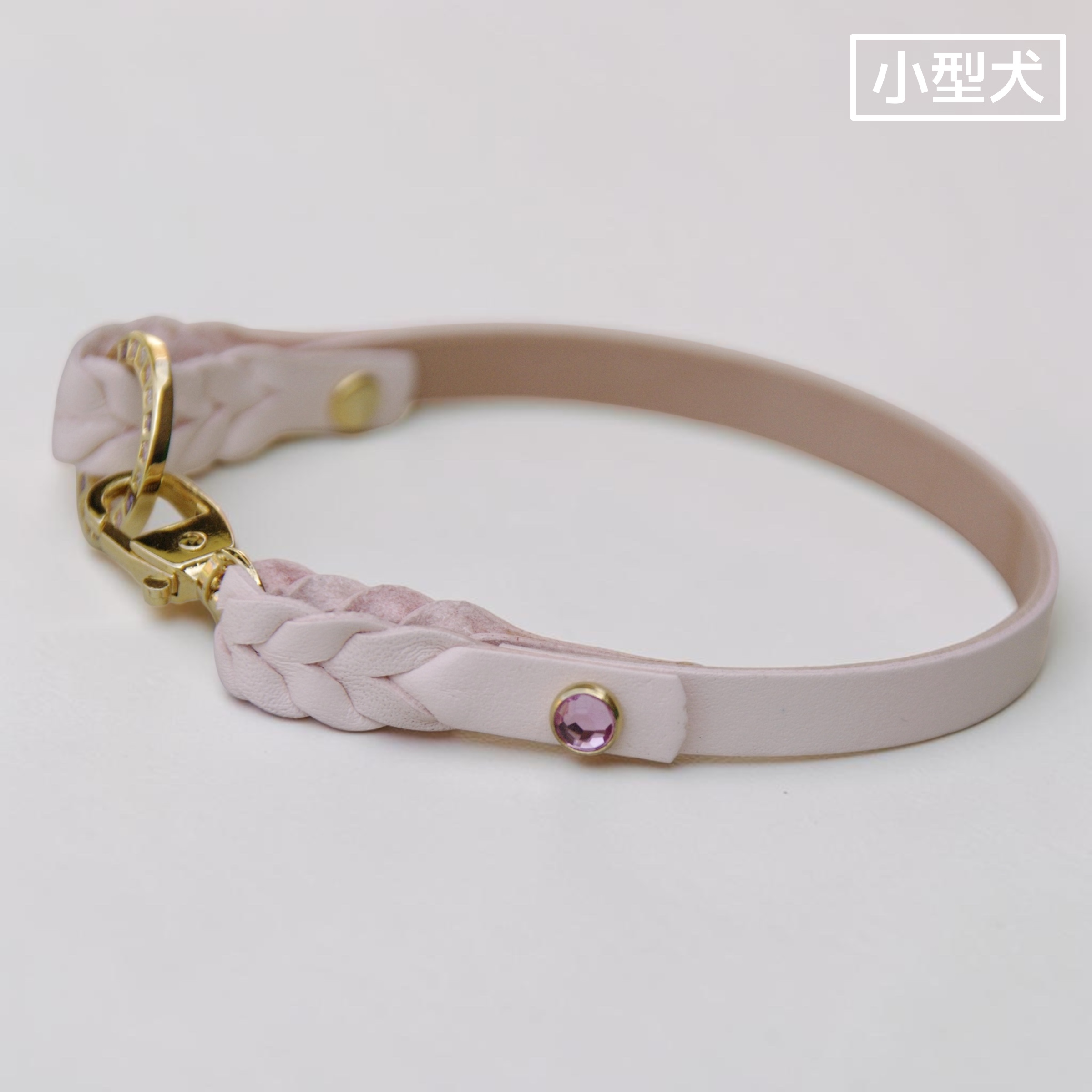 【小型犬】Lilas（リラ）の画像