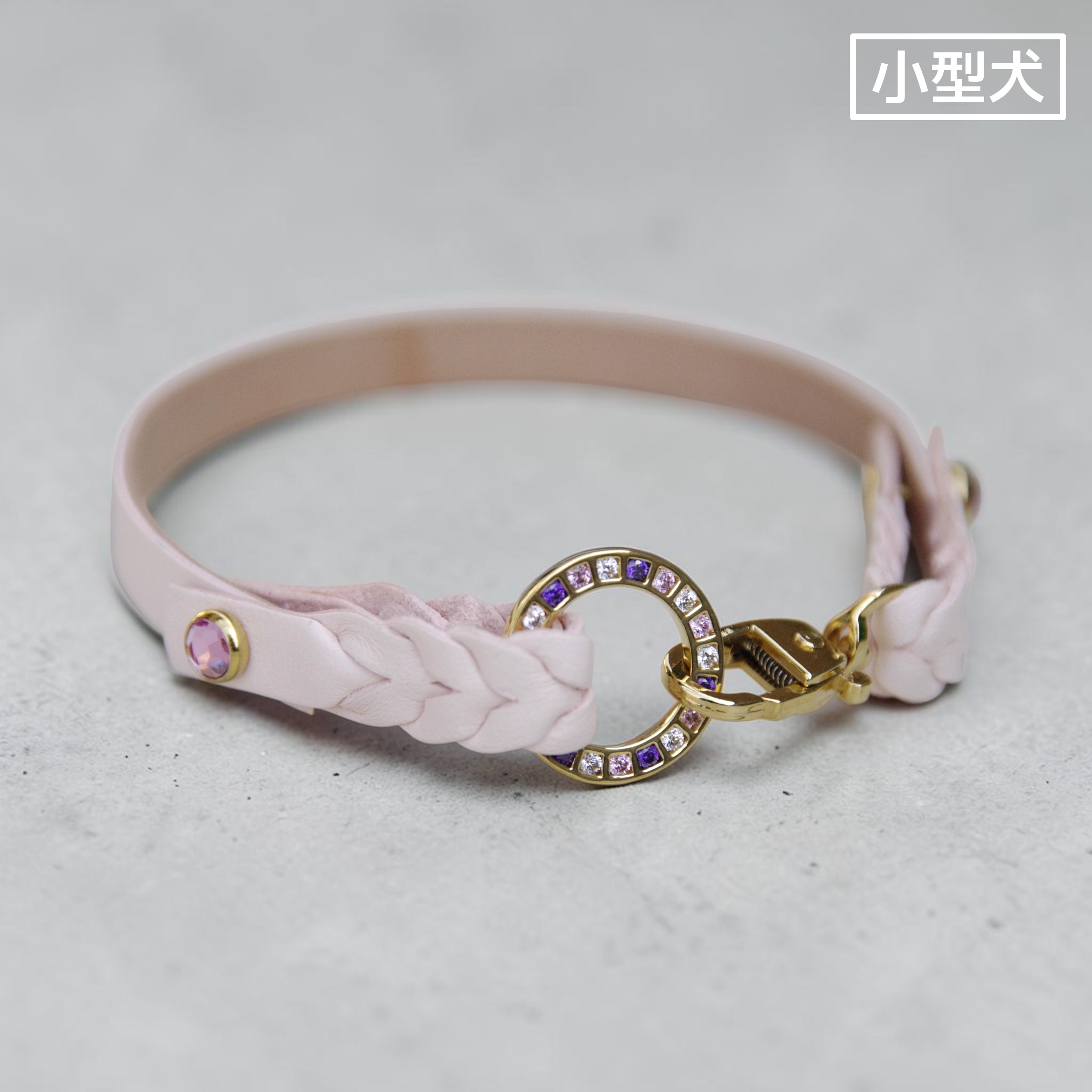 【小型犬】Lilas（リラ）の画像