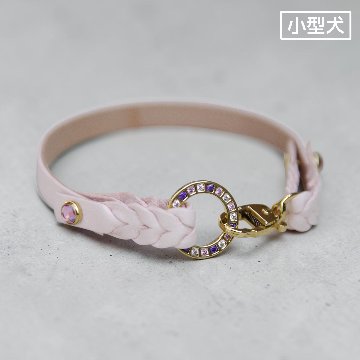 【小型犬】Lilas（リラ）の画像