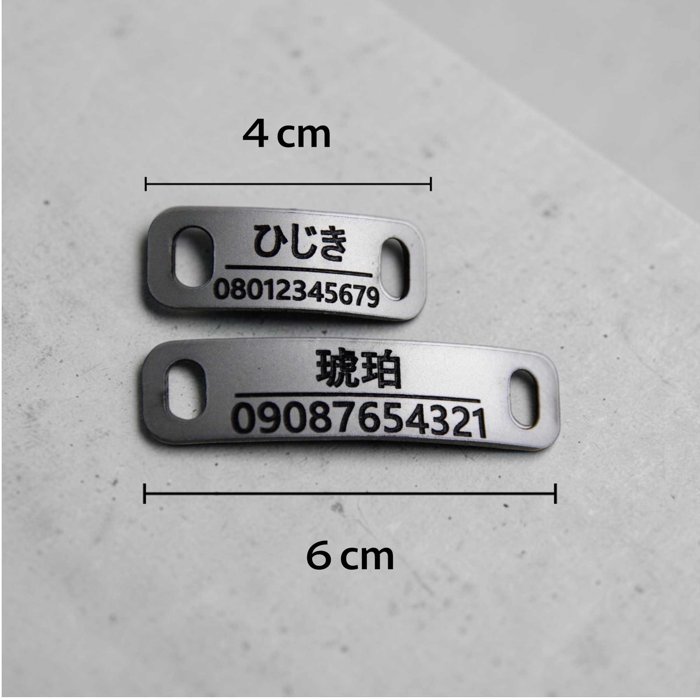 【全犬種】ボールドの画像