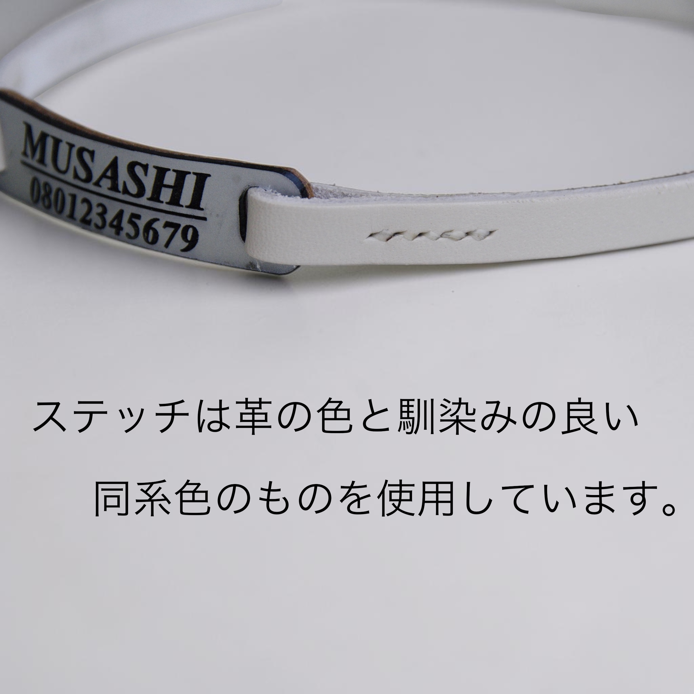 【全犬種】ボールドの画像