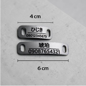 【全犬種】ボールドの画像