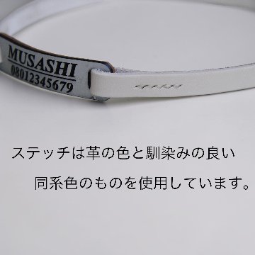 【全犬種】ボールドの画像