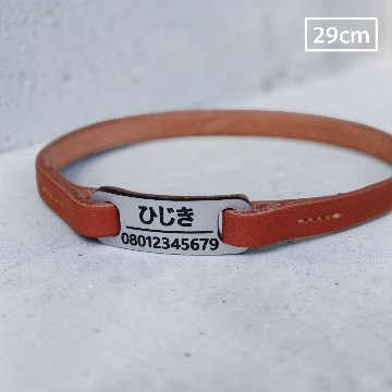 【全犬種】ボールドの画像